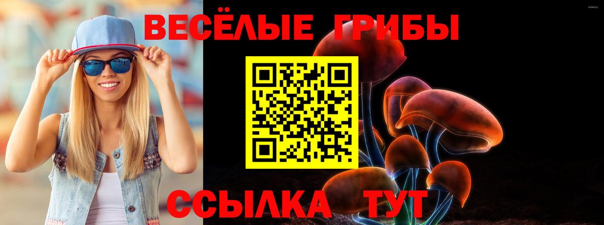 Псилоцибиновые грибы MAGIC MUSHROOMS  Вход с VPN  Псилоцибиновые грибы мухоморы  Миллерово 